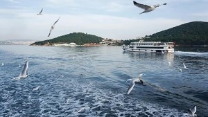 gunubirlik-ıstanbul-adalar-turu-burgazada-heybeliada-buyukada